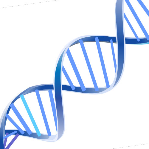 Mature Onset Diabetes of the Young (MODY)